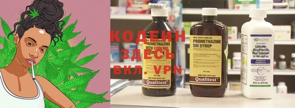 ПСИЛОЦИБИНОВЫЕ ГРИБЫ Корсаков