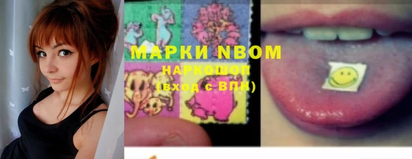 СК Коряжма