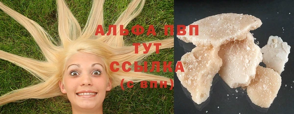 СК Коряжма
